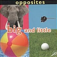 Big and Little (Paperback)
