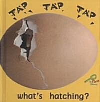 Tap, Tap, Tap Whats Hatching? (Library)