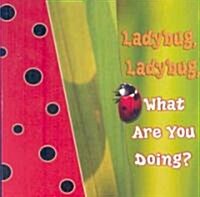 [중고] Ladybug, Ladybug, What Are You Doing? (Board Book)