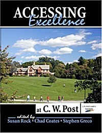 Accessing Excellence at C. W. Post (Paperback)