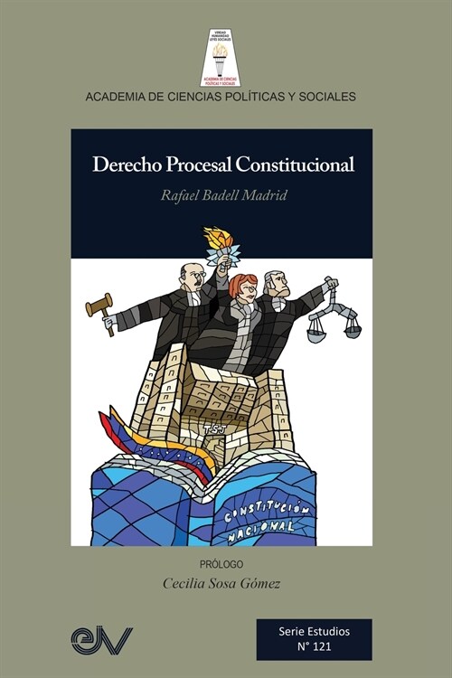 DERECHO PROCESAL CONSTITUCIONAL (Paperback)