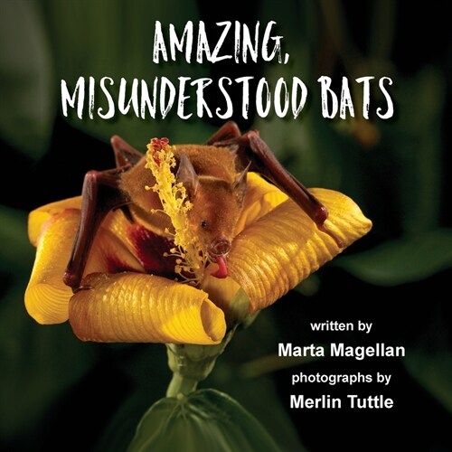 Amazing, Misunderstood Bats (Paperback)