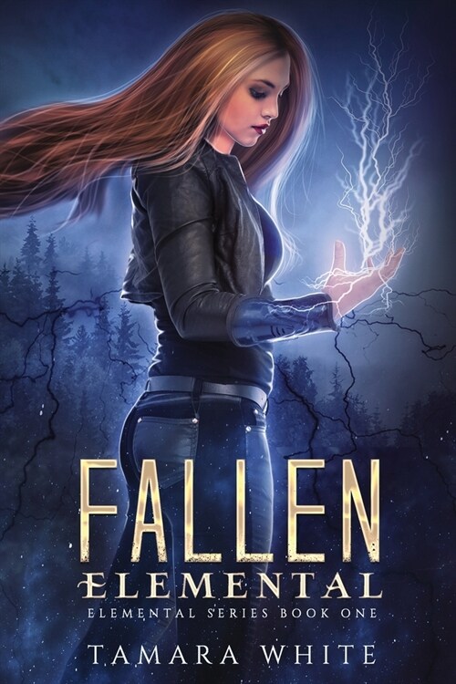 Fallen Elemental: A Reverse Harem Story (Paperback)