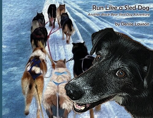 Run Like a Sled Dog: Another Black Bear Sled Dog Adventure (Paperback)