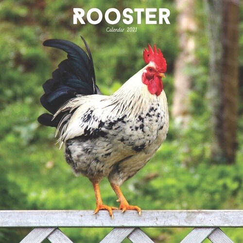 Rooster Calendar 2021: Rooster Lovers Wall Calendar 2021, Farm Animals Calendar (Paperback)