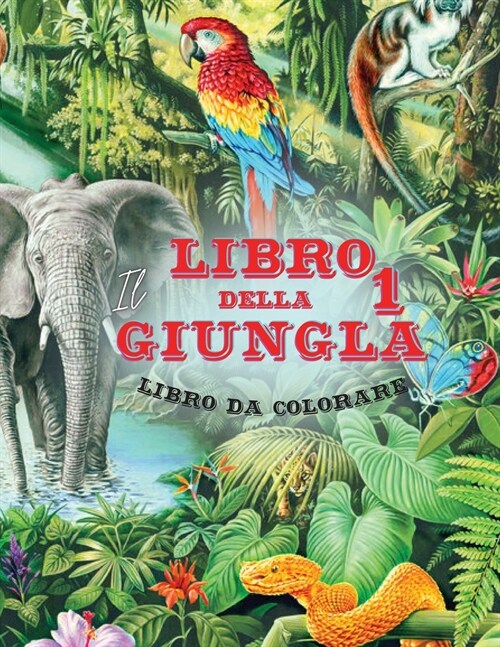 Il Libro della Giungla 1 - Album da Colorare: Fatti trasportare nel cuore della giungla indiana dove le scimmie conducono Mowgli nella citt?perduta. (Paperback)