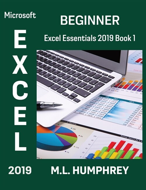 Excel 2019 Beginner (Hardcover)