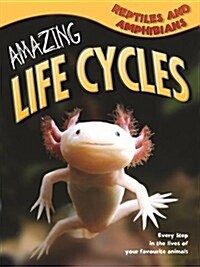 Amazing Life Cycles: Reptiles and Amphibians (Paperback)