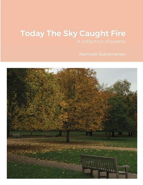 Today The Sky Caught Fire: A collection of poems (Paperback)
