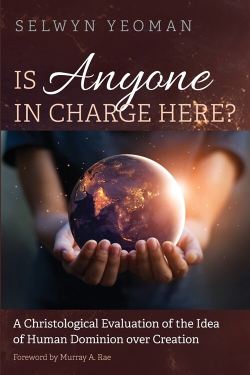 Is Anyone in Charge Here? (Paperback)