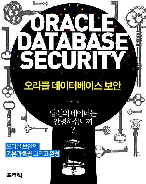 오라클 데이터베이스 보안