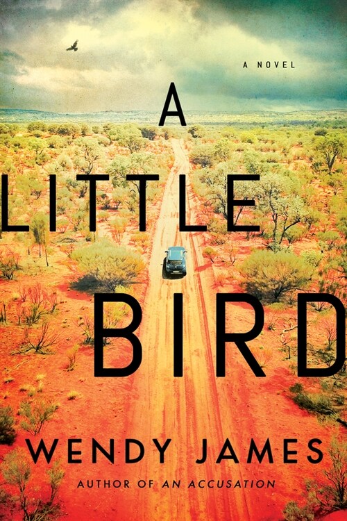 A Little Bird (Paperback)
