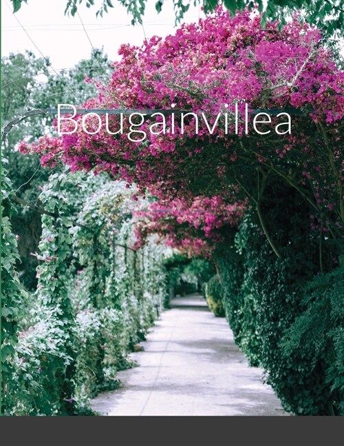 Bougainvillea (Paperback)
