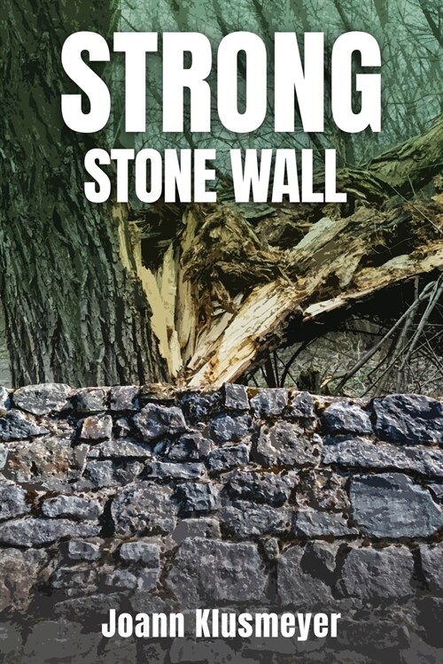 Strong Stone Walls (Paperback)