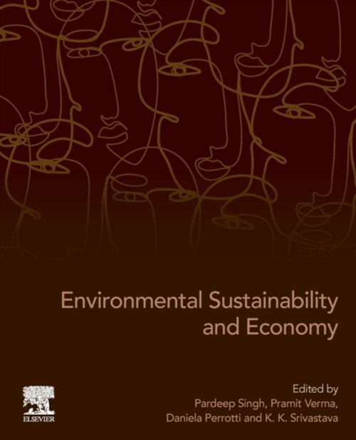 Environmental Sustainability and Economy (Paperback)