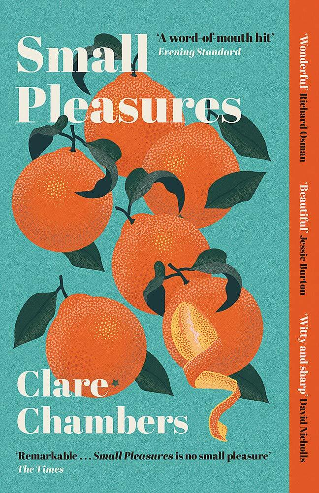 Small Pleasures : Longlisted for the Womens Prize for Fiction 2021 (Paperback)