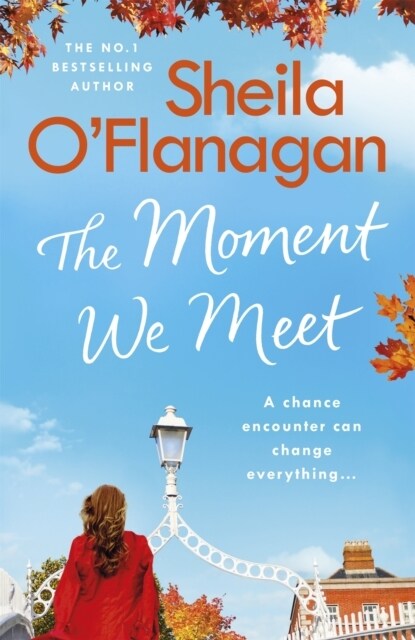 The Moment We Meet (Paperback)