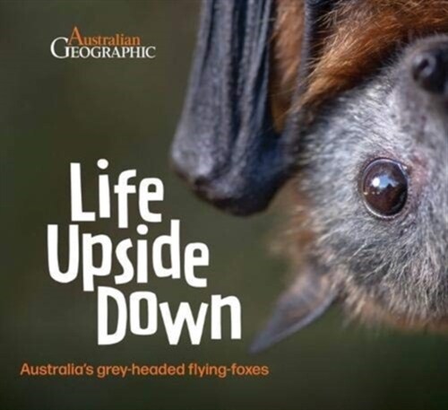 Life Upside Down : AustraliaS Grey-Headed Flying-Foxes (Hardcover)