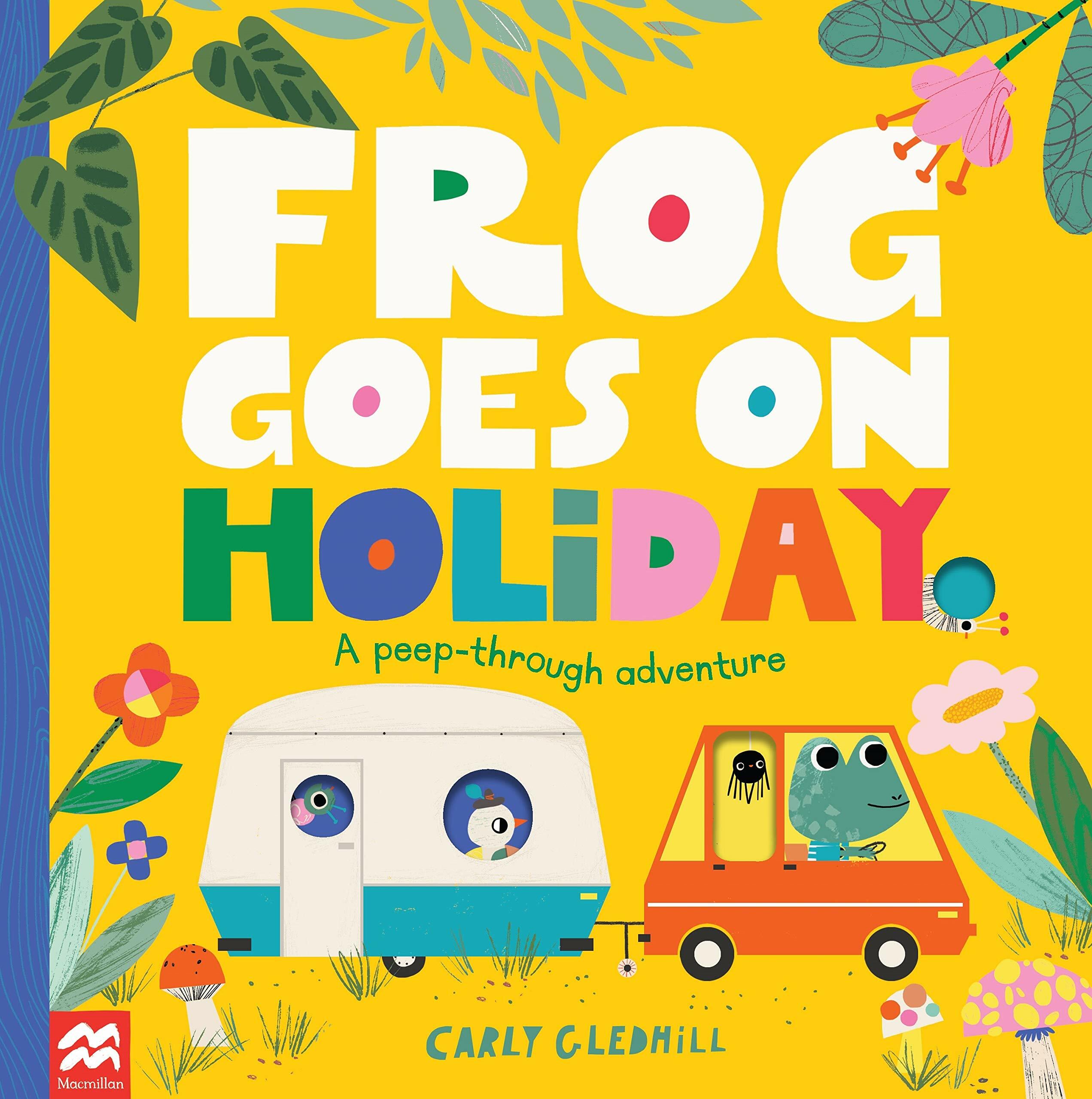 Frog goes on Holiday (Paperback)