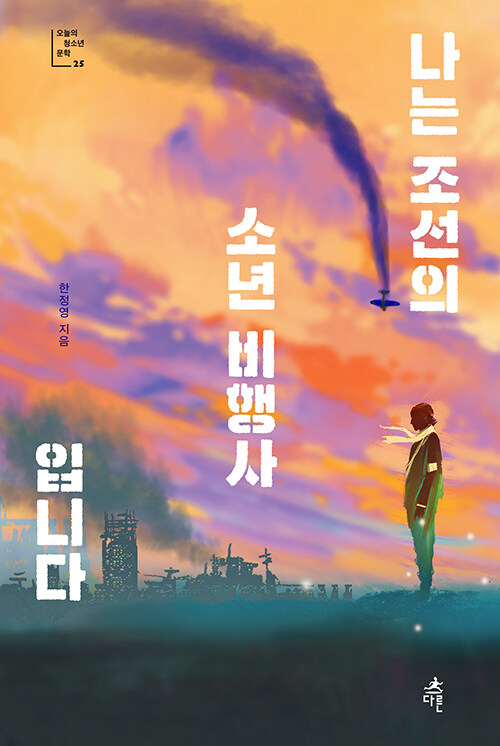 [큰글자도서] 나는 조선의 소년 비행사입니다 