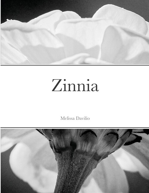 Zinnia (Paperback)