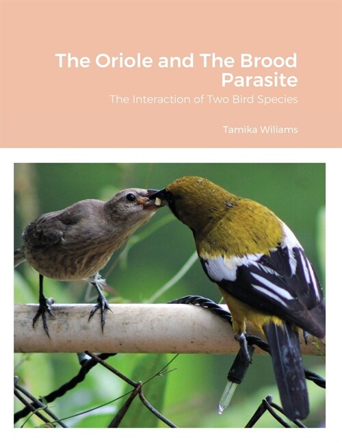 The Oriole and The Brood Parasite: The Interaction of Two Bird Species (Paperback)