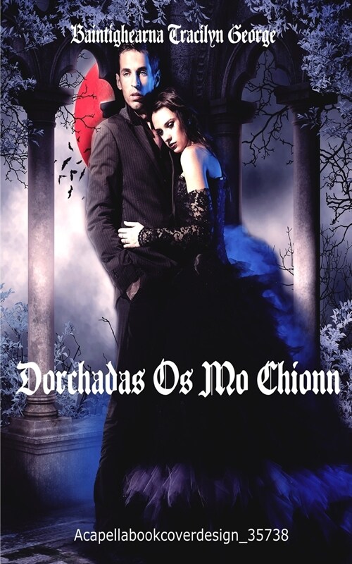 Dorchadas Os Mo Chionn (Paperback)