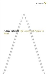 The Concept of Nature in Marx (Paperback)