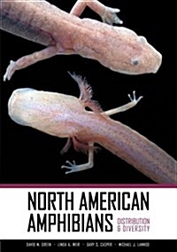 North American Amphibians: Distribution & Diversity (Hardcover)