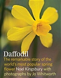 Daffodil: The Remarkable Story of the Worlds Most Popular Spring Flower (Hardcover)