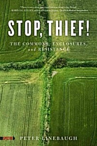 Stop, Thief!: The Commons, Enclosures, and Resistance (Paperback)