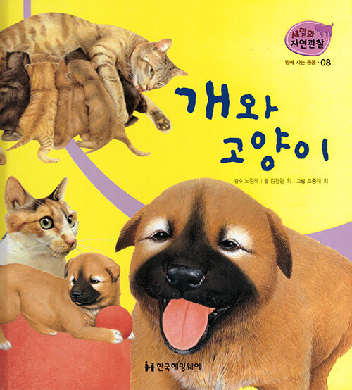 개와 고양이