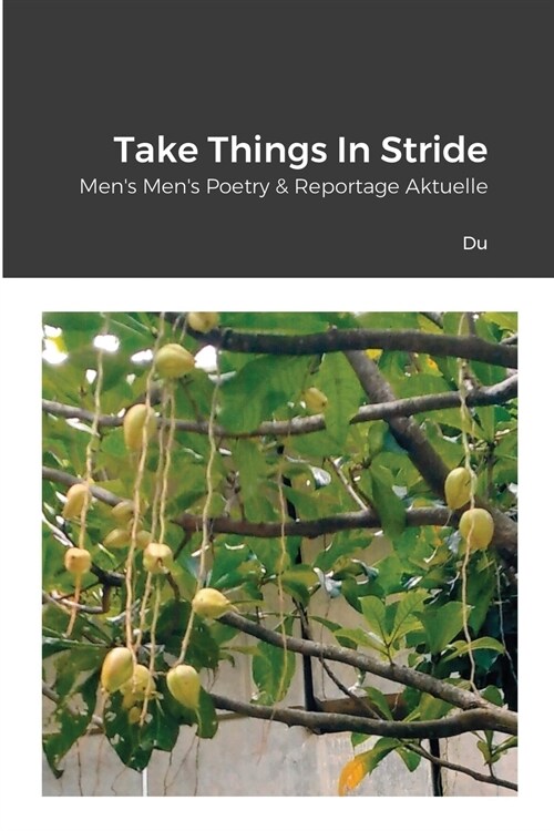 Take Things In Stride: Mens Mens Poetry & Reportage Aktuelle (Paperback)