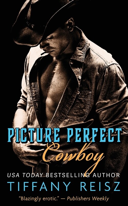 Picture Perfect Cowboy: A Western Romance (Paperback, 2)