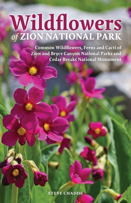 Wildflowers of Zion National Park (Paperback)