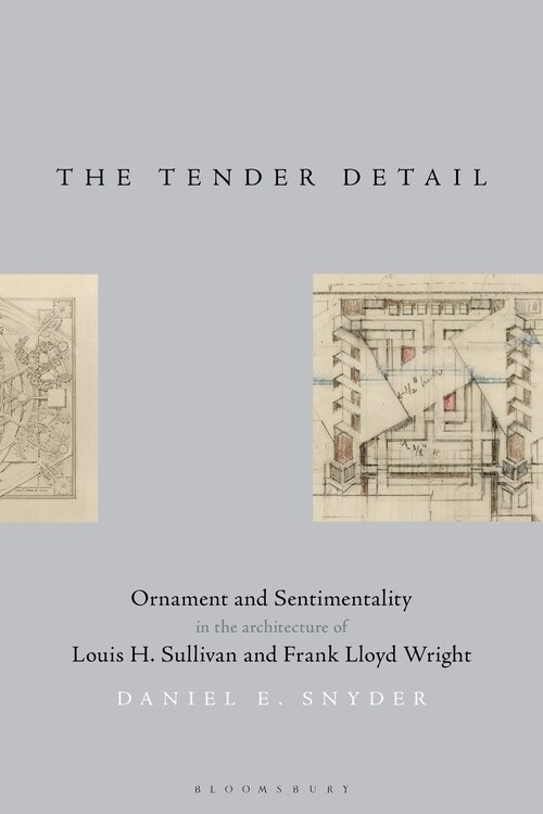 The Tender Detail : Ornament and Sentimentality in the Architecture of Louis H. Sullivan and Frank Lloyd Wright (Paperback)