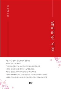 잃어버린 시절 :김영애 소설 