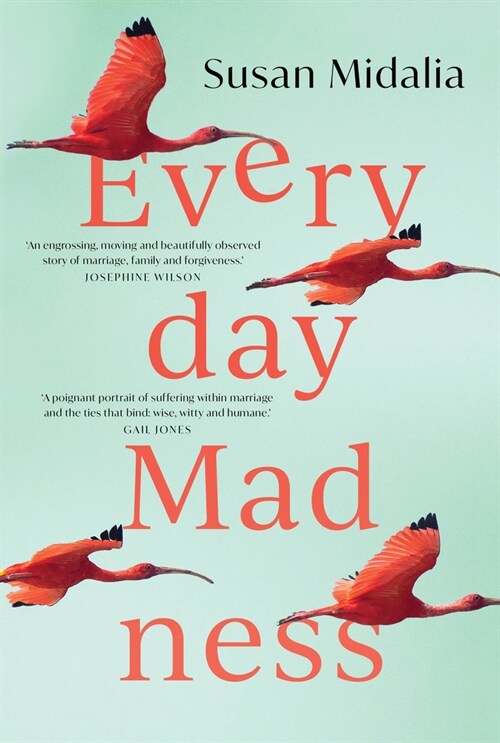 Everyday Madness (Paperback)
