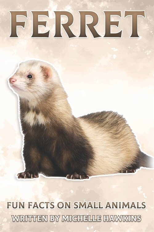 Ferret: Fun Facts on Small Animals #7 (Paperback)