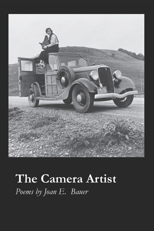 The Camera Artist (Paperback)