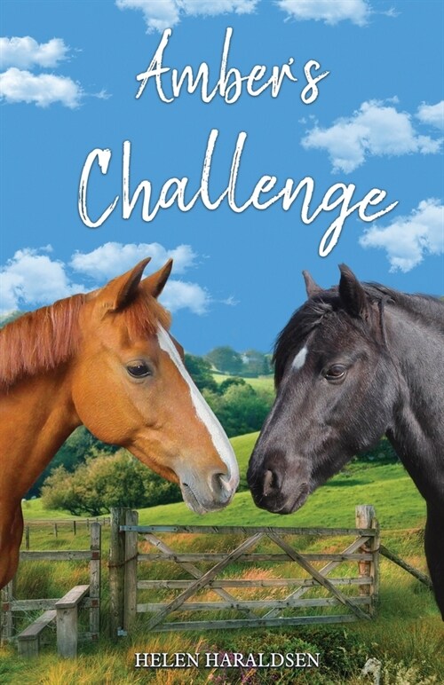 Ambers Challenge (Paperback)