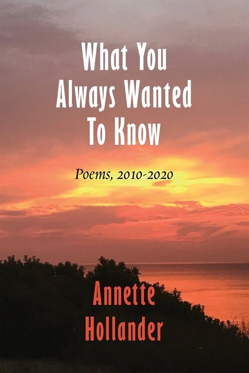 What You Always Wanted To Know: Poems, 2010-2020 (Paperback)