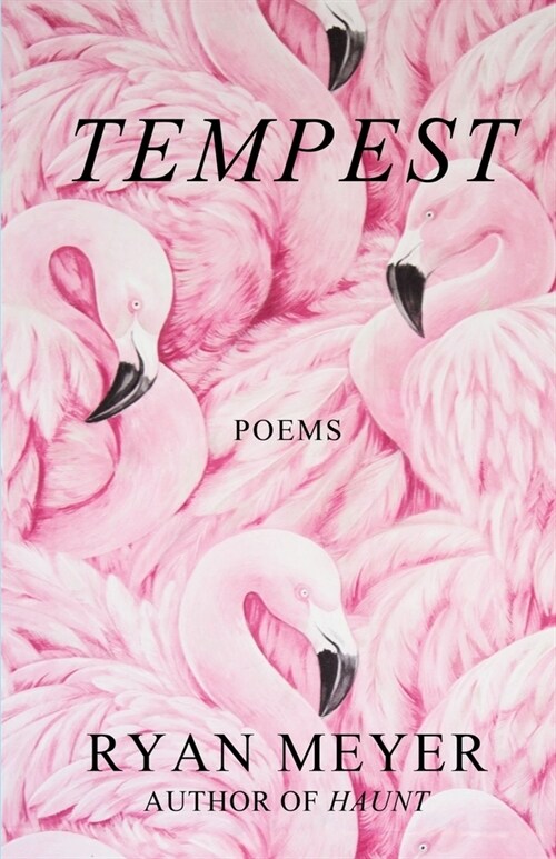 Tempest: Poems (Paperback)