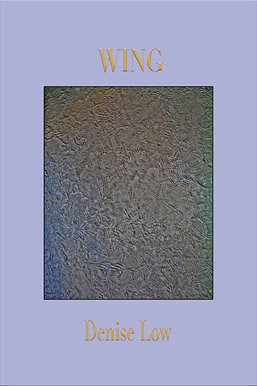 Wing (Paperback)