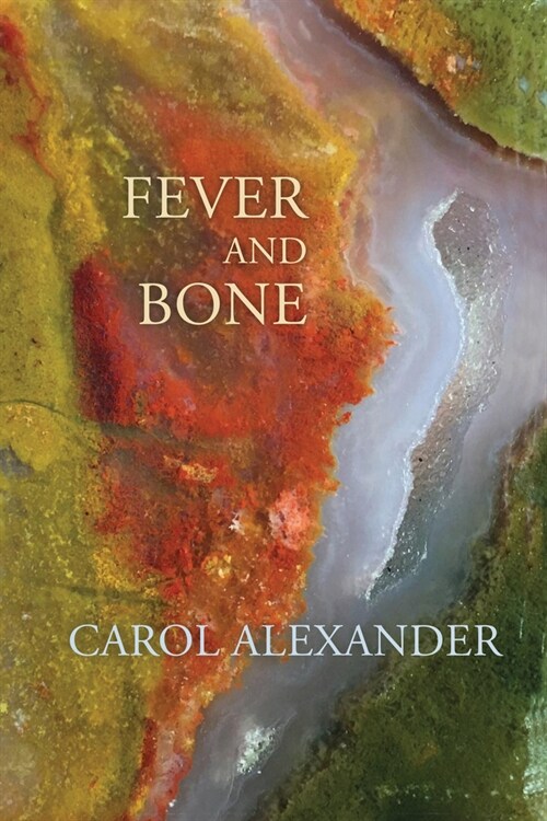 Fever and Bone (Paperback)