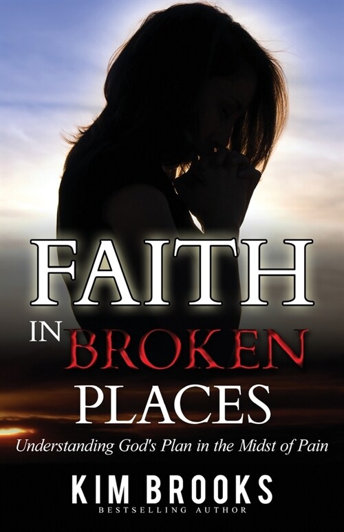 Faith in Broken Places: Understanding Gods Plan in the Midst of Pain (Paperback)