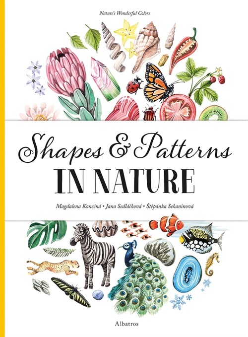 Shapes and Patterns in Nature (Hardcover)
