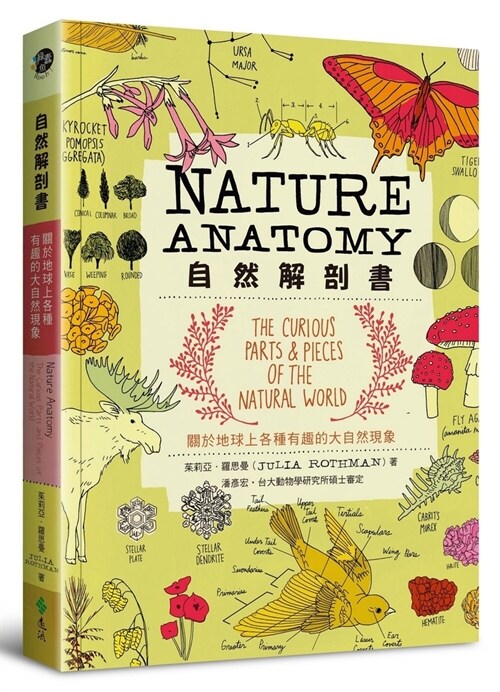 Nature Anatomy (Paperback)