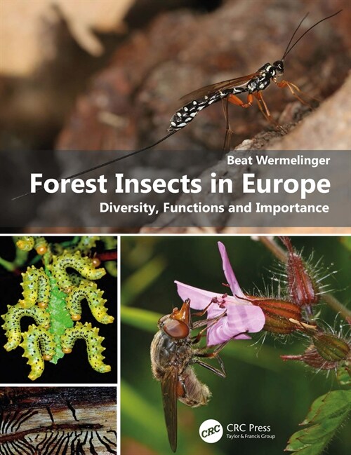 Forest Insects in Europe : Diversity, Functions and Importance (Paperback)