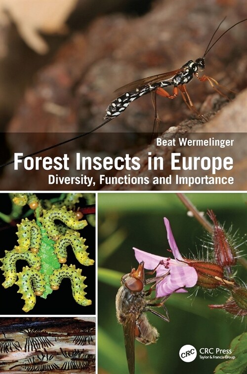 Forest Insects in Europe : Diversity, Functions and Importance (Hardcover)